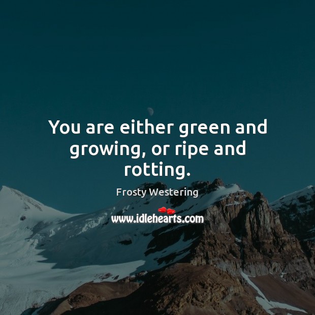 You are either green and growing, or ripe and rotting. Frosty Westering Picture Quote