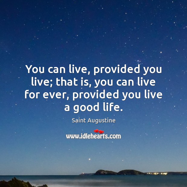 You can live, provided you live; that is, you can live for Saint Augustine Picture Quote