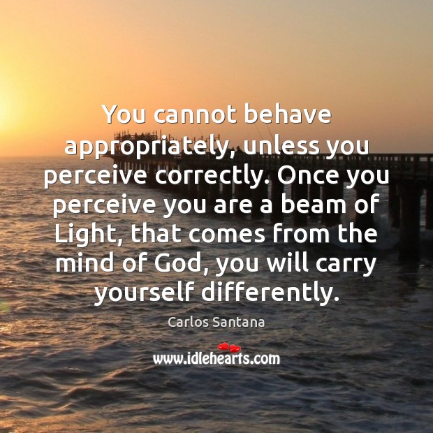 You cannot behave appropriately, unless you perceive correctly. Once you perceive you Carlos Santana Picture Quote