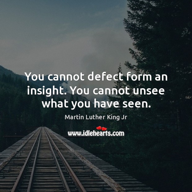 You cannot defect form an insight. You cannot unsee what you have seen. Martin Luther King Jr Picture Quote