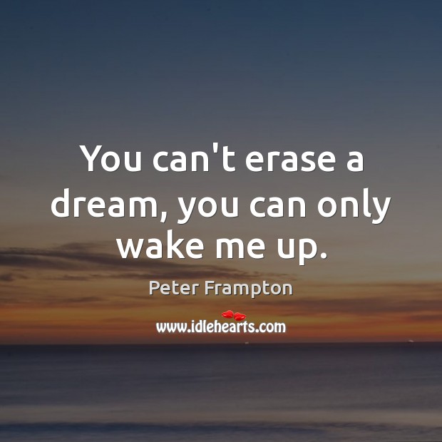 You can’t erase a dream, you can only wake me up. Image