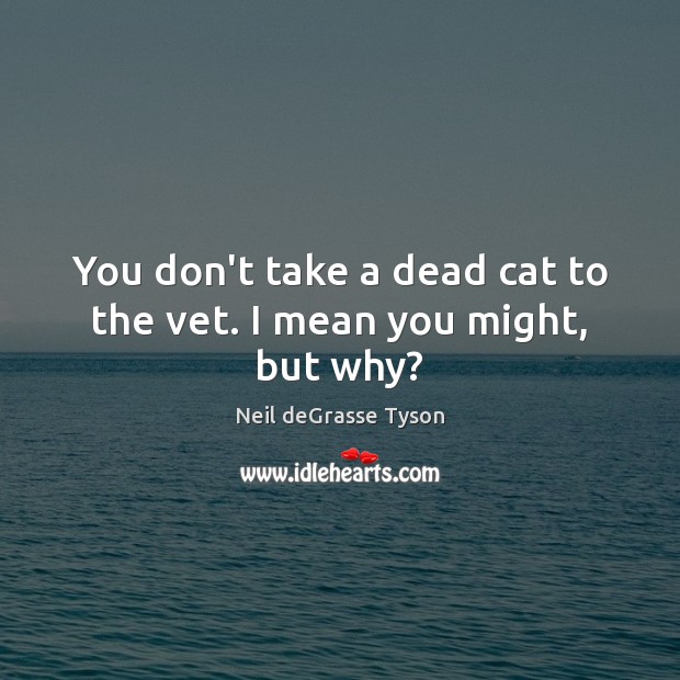 You don’t take a dead cat to the vet. I mean you might, but why? Image