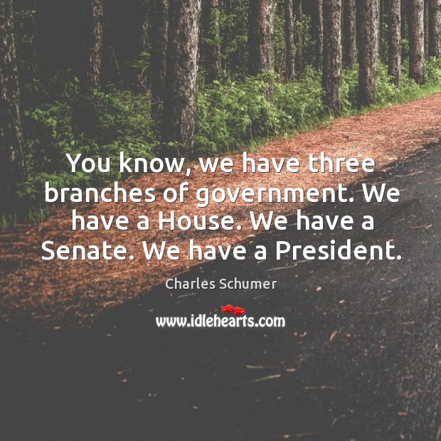 You know, we have three branches of government. We have a house. We have a senate. We have a president. Charles Schumer Picture Quote