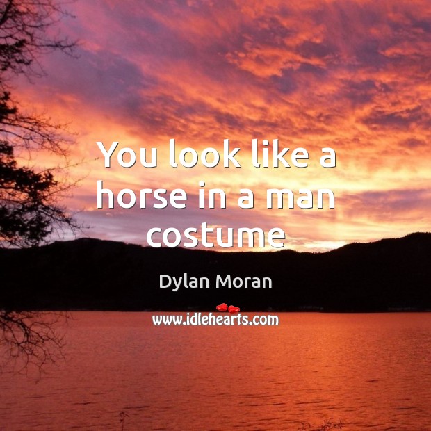 You look like a horse in a man costume Dylan Moran Picture Quote