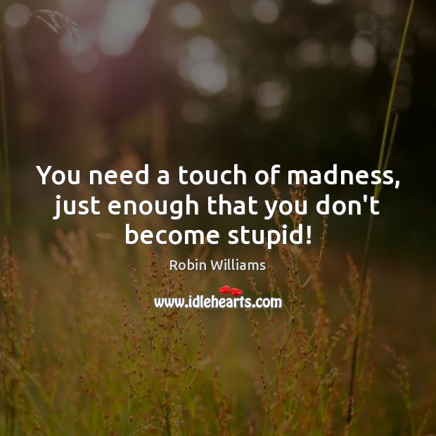 You need a touch of madness, just enough that you don’t become stupid! Robin Williams Picture Quote