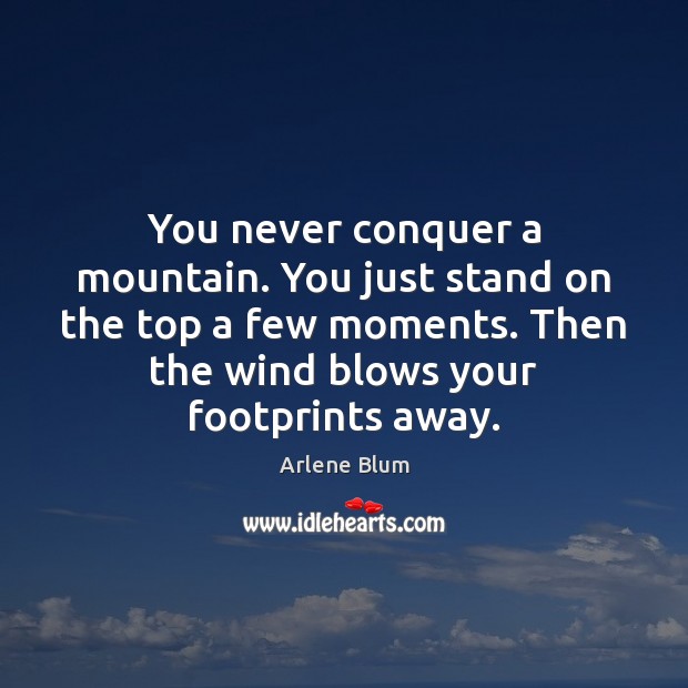 You never conquer a mountain. You just stand on the top a Arlene Blum Picture Quote