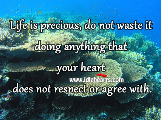 Life is precious, do not waste it doing anything Respect Quotes Image