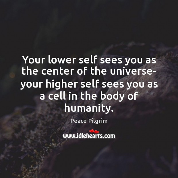 Your lower self sees you as the center of the universe- your Humanity Quotes Image