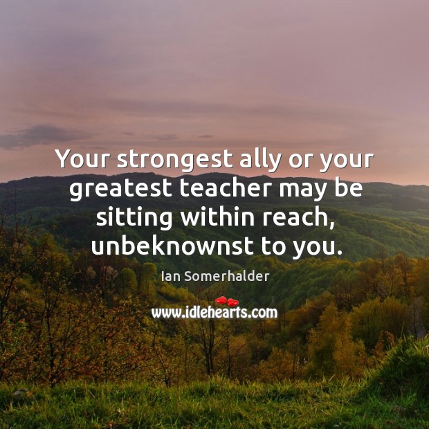 Your strongest ally or your greatest teacher may be sitting within reach, Ian Somerhalder Picture Quote