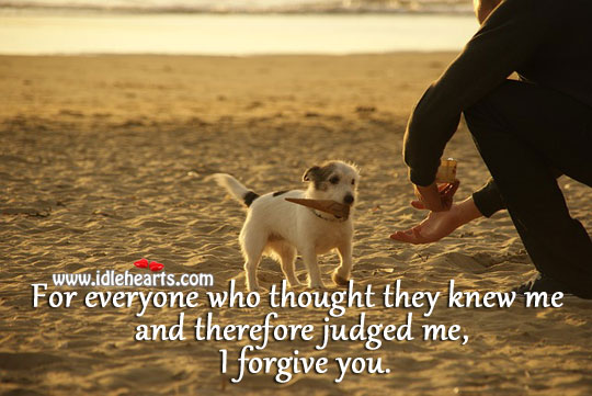 I Forgive You Funny Quotes. QuotesGram